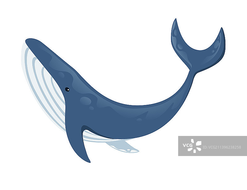 蓝鲸卡通动物设计最大图片素材