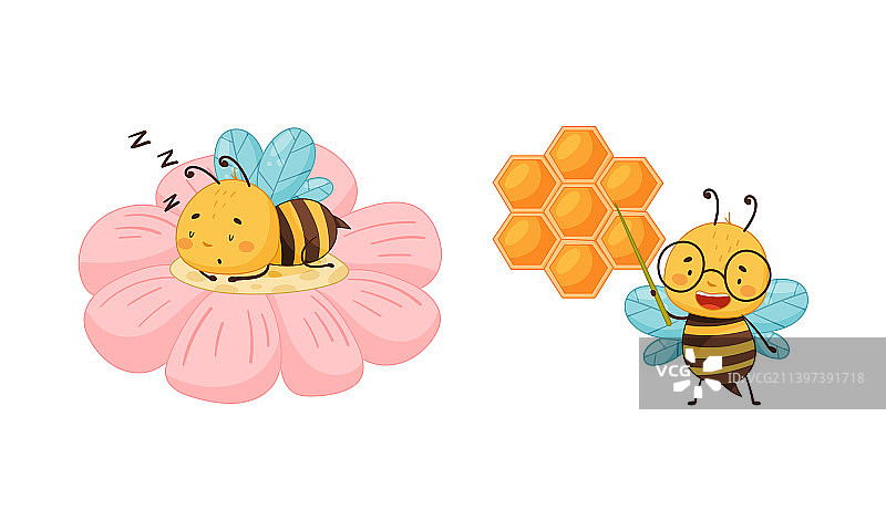 可爱的蜜蜂，快乐的蜜蜂，有趣的蜜蜂集教学与蜜蜂图片素材