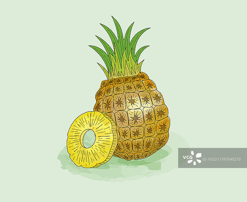 菠萝和切片水彩用固体墨图片素材