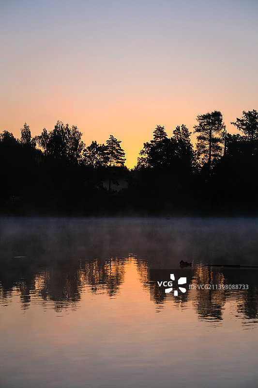 在雾蒙蒙的湖面上，夏日里美丽的日出图片素材