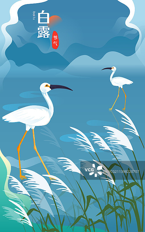 白露节气秋天白鹭户外玩耍美丽自然动物插画图片素材