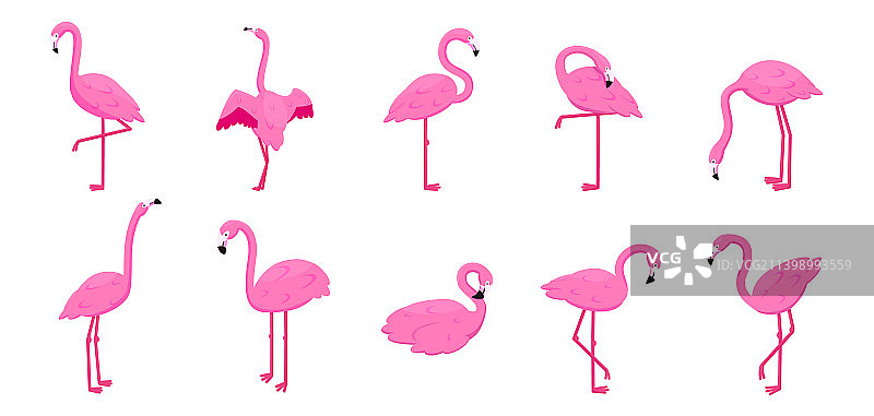 热带火烈鸟异域动物粉红色印花图片素材