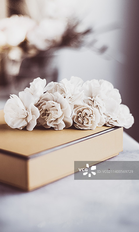 桌子上白色花朵的特写图片素材