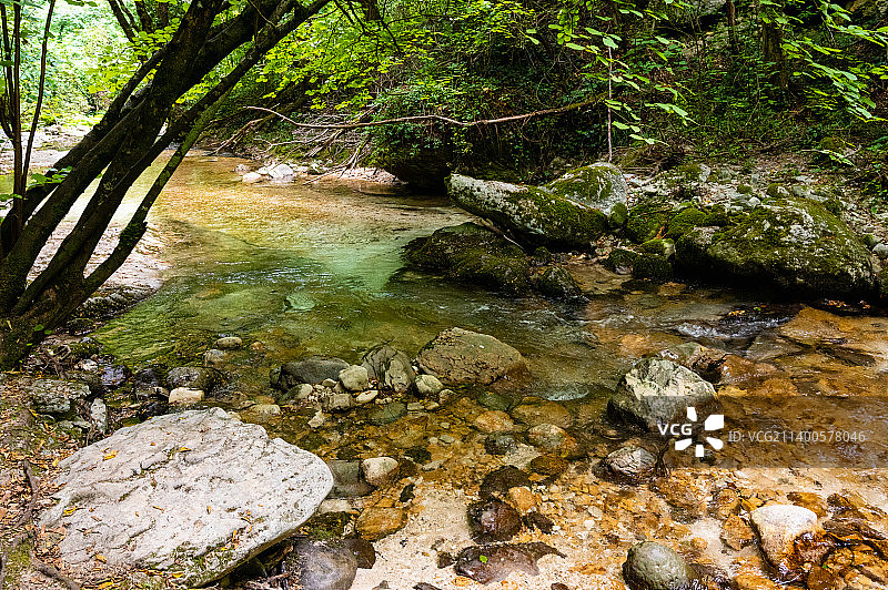 森林中河流穿过岩石的风景图片素材