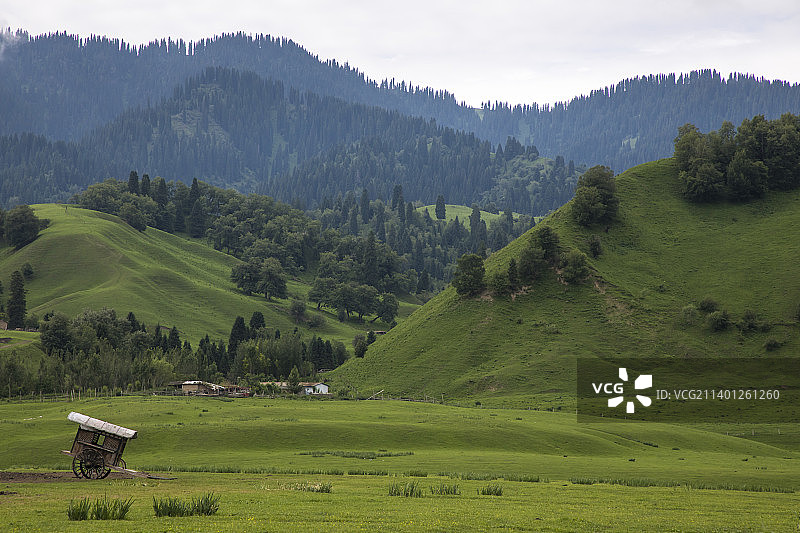 新疆那拉提的山峦草甸和森林村庄图片素材