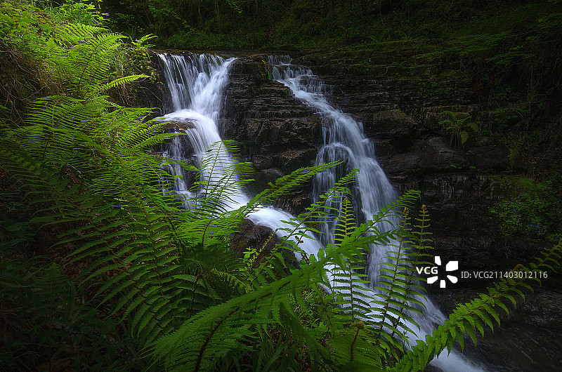 西班牙坎塔布里亚森林瀑布的风景图片素材