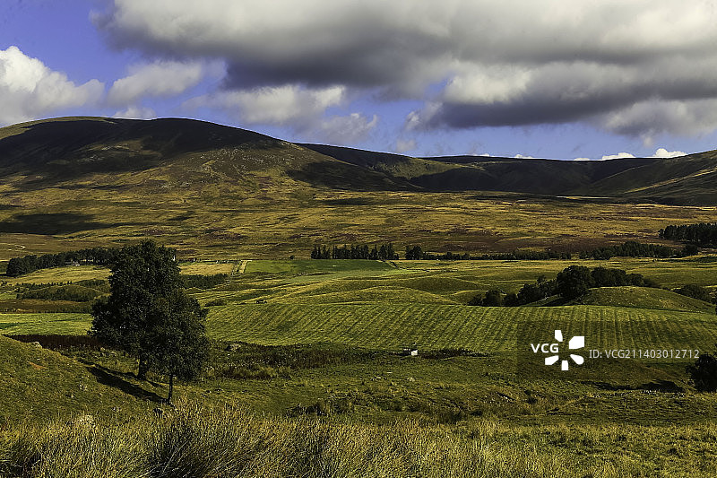 天空映衬下的农业田地风景，英国，英国图片素材