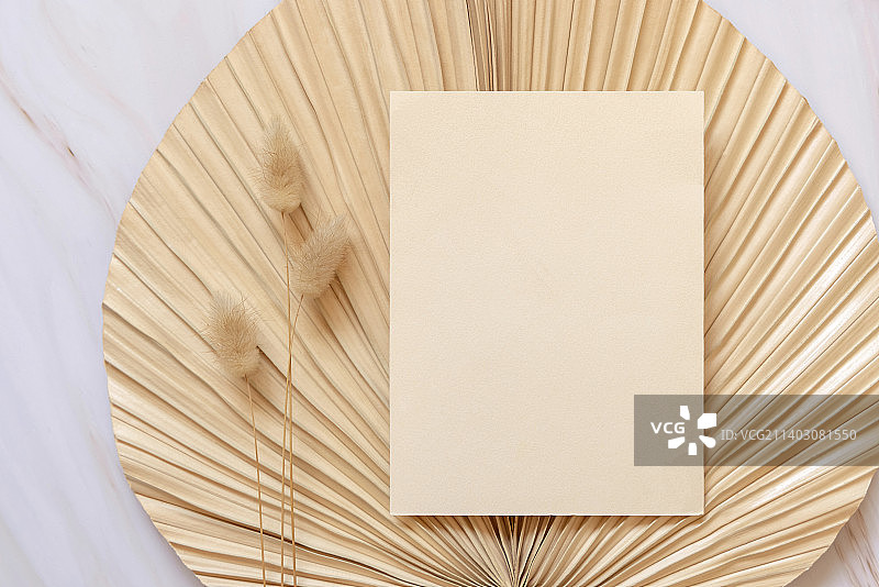 空白卡片上干米色棕榈叶近兔尾草顶视图，波西米亚婚礼模型图片素材