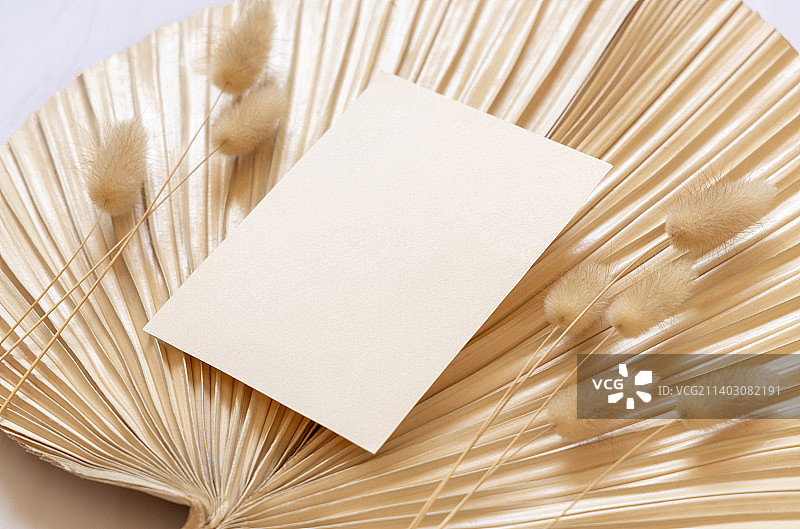 空白卡片上干米色棕榈叶近兔尾草近，波西米亚婚礼模型图片素材