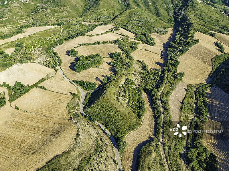 航拍新疆昌吉地区江布拉克的麦田图片素材