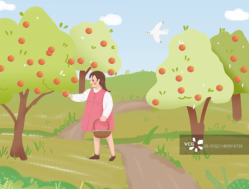 秋天果园丰收女孩摘苹果图片素材