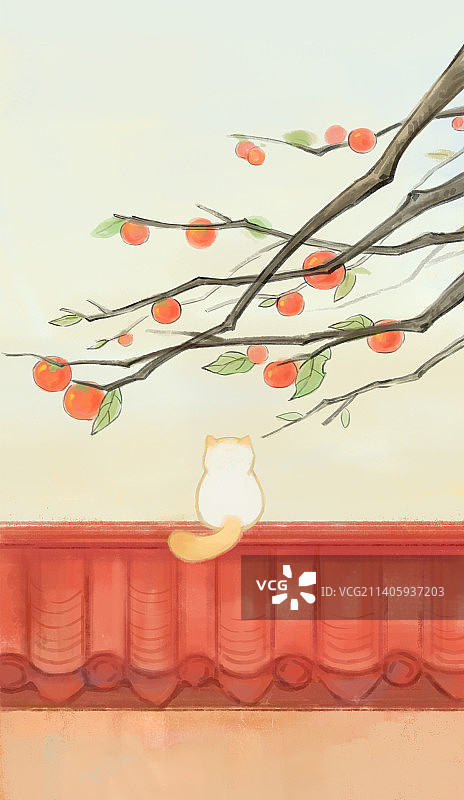 秋季霜降节气红墙上猫咪望着柿子树水彩插画图片素材