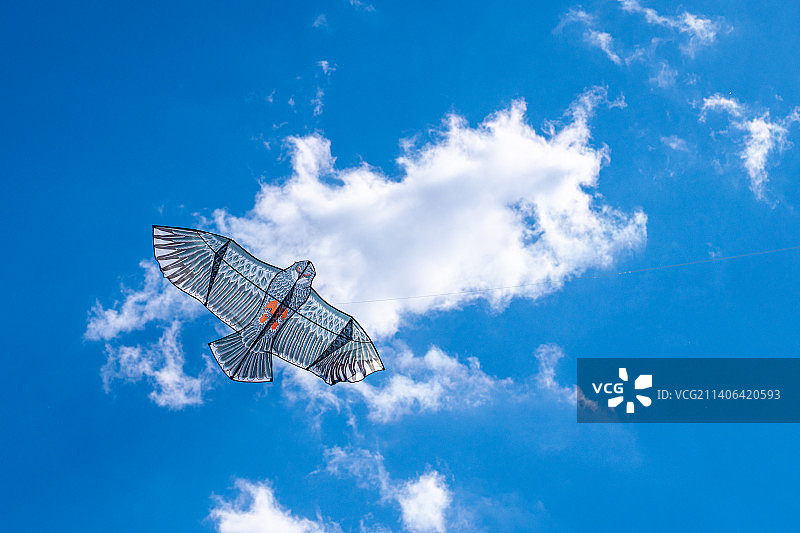 低角度的 老鹰风筝在天空中飞行图片素材