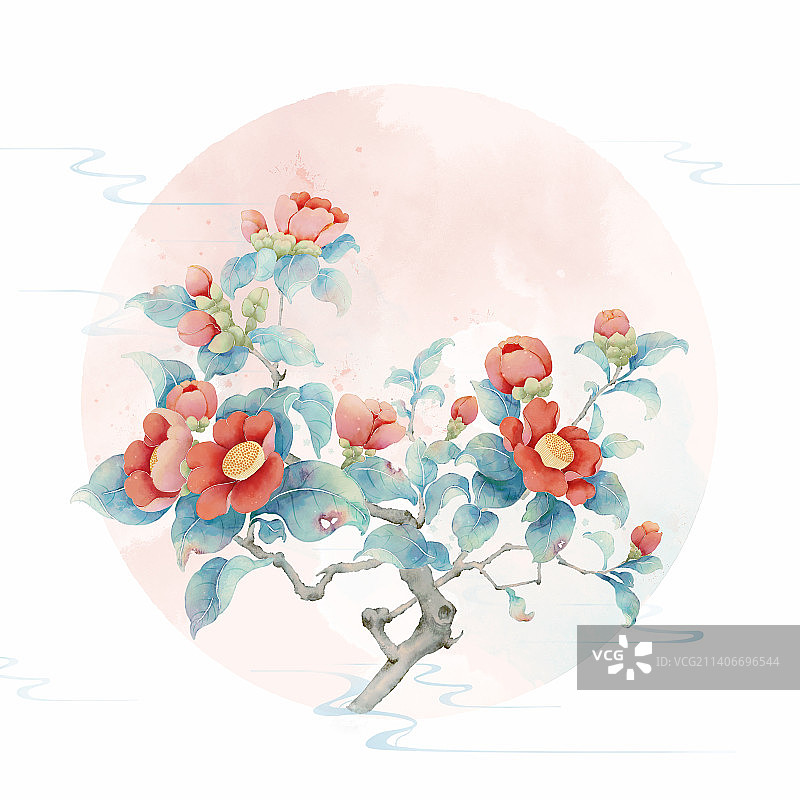 茶花红花中国画手绘图片素材