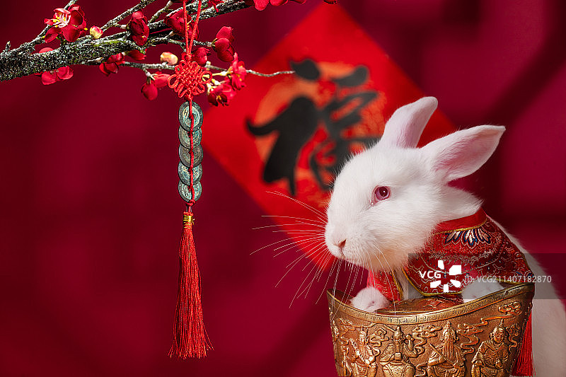 新年福字和小白兔图片素材