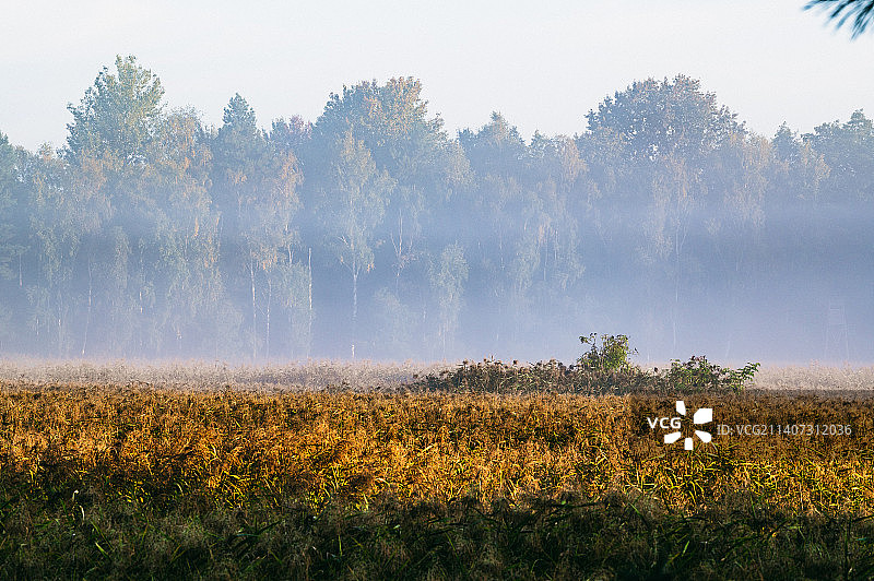 波兰格拉贝克，天空映衬下的田野风景图片素材