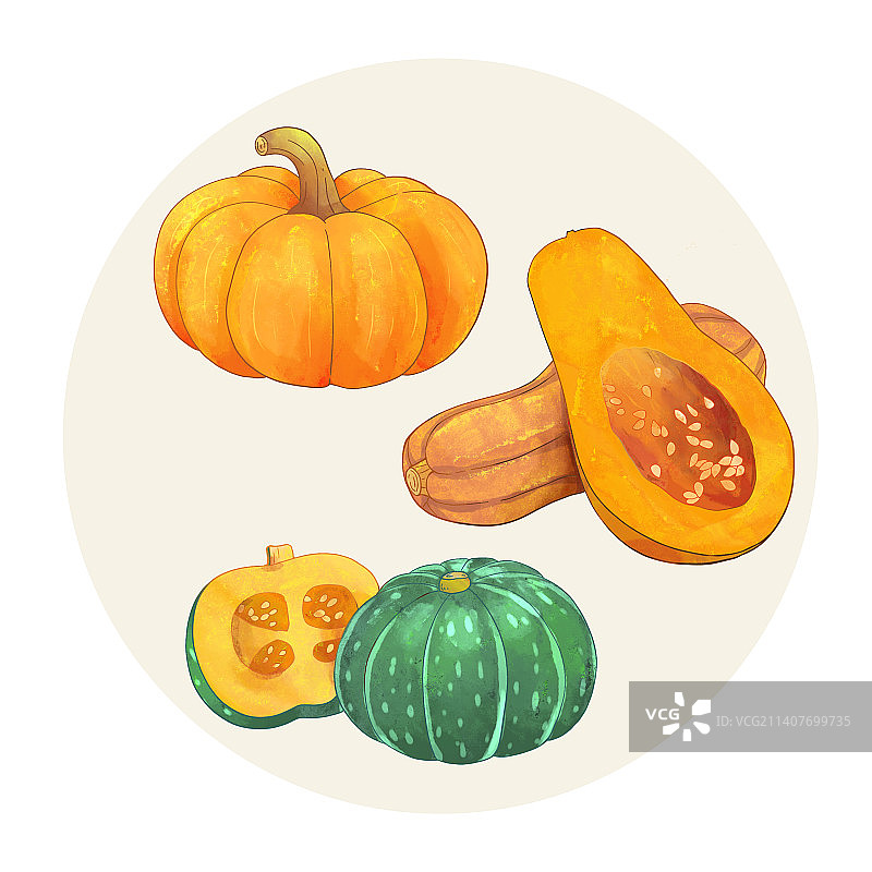 手绘水彩蔬菜南瓜插画图片素材