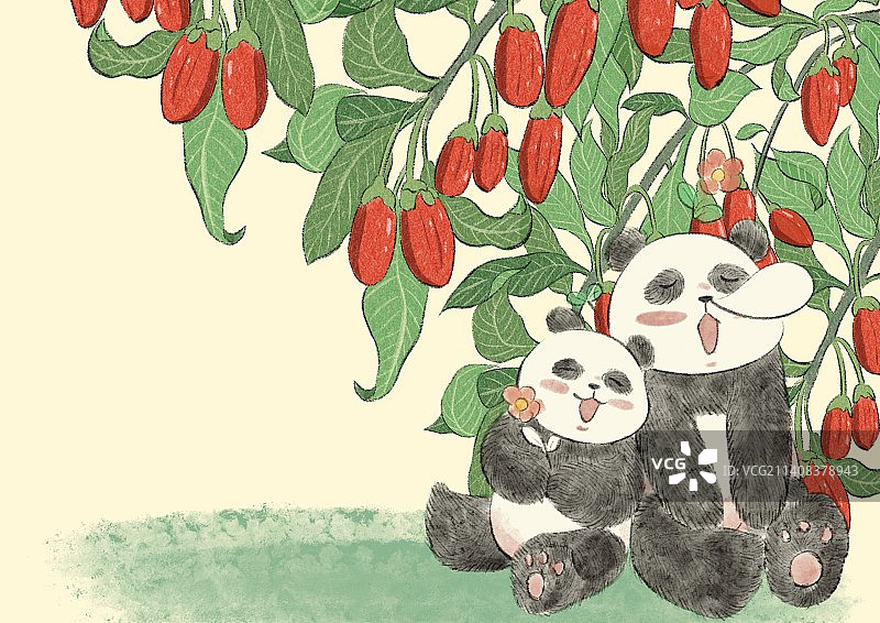 熊猫与果实的二十四节气-小满图片素材