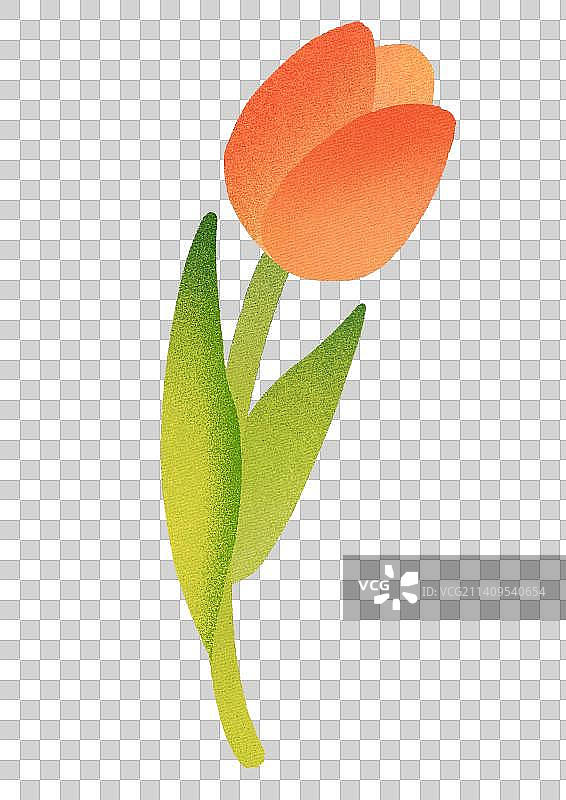 扁平植物插画卡通郁金香图片素材