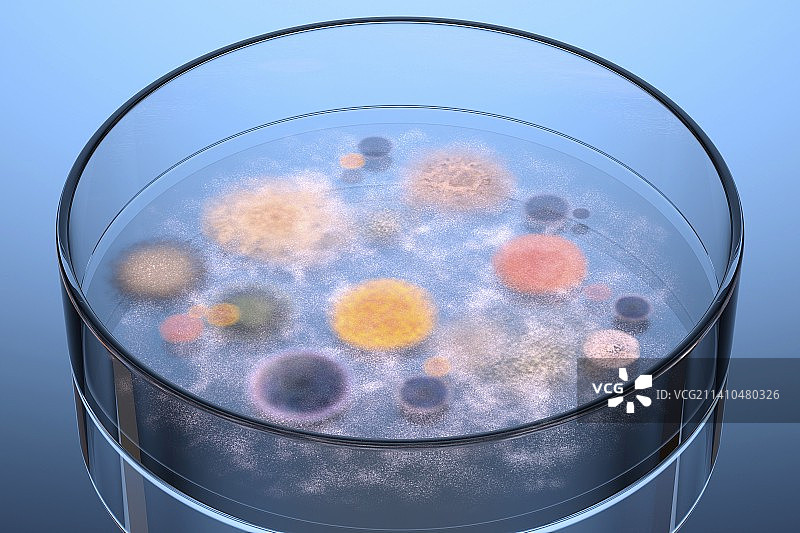 微生物在培养皿中生长，艺术品图片素材
