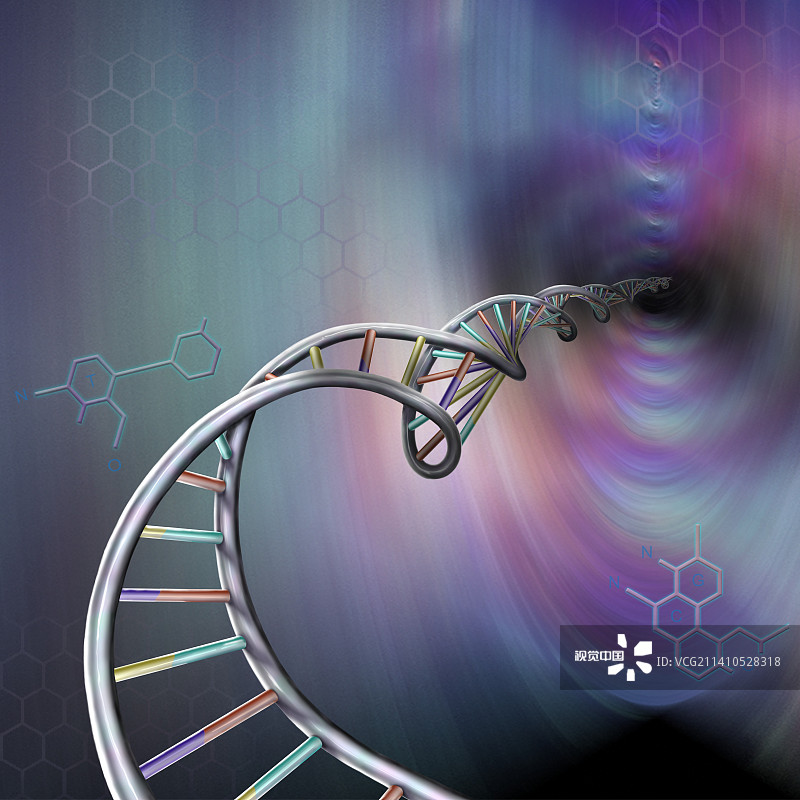 DNA分子，插图图片素材