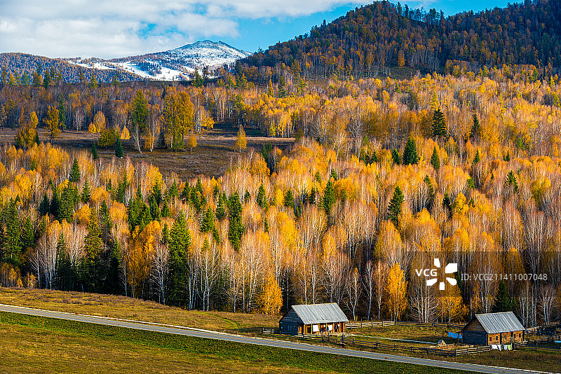 新疆阿勒泰禾木秋天秋色秋景雪景自然风光图片素材
