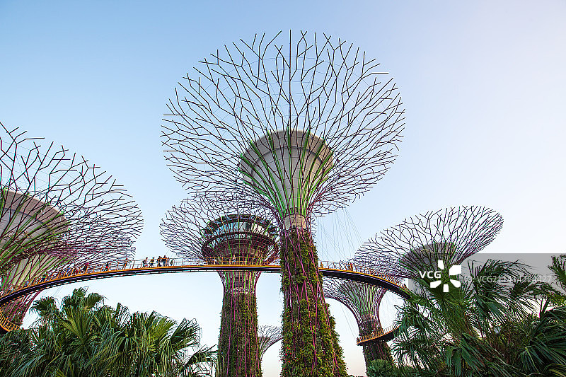 新加坡滨海湾花园图片素材