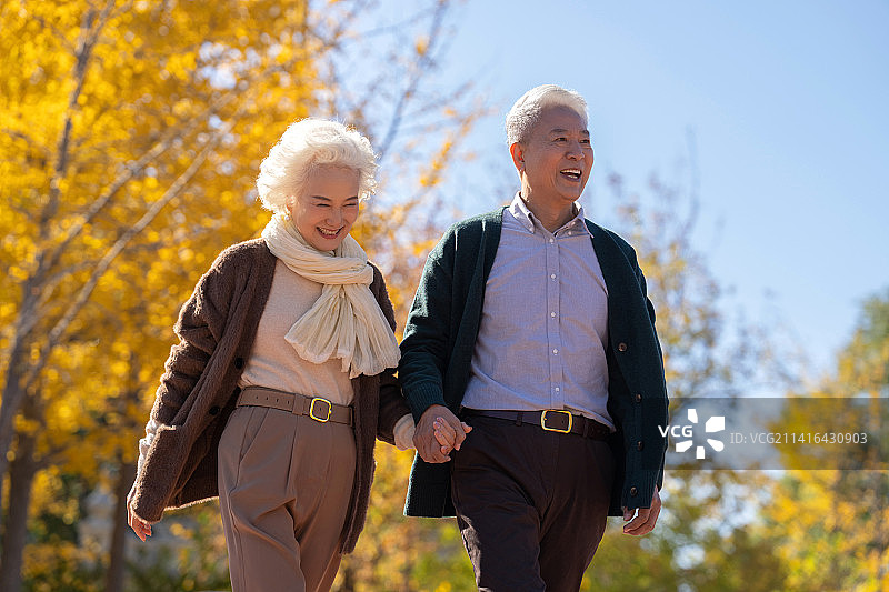 时尚的老年夫妇在公园里散步图片素材
