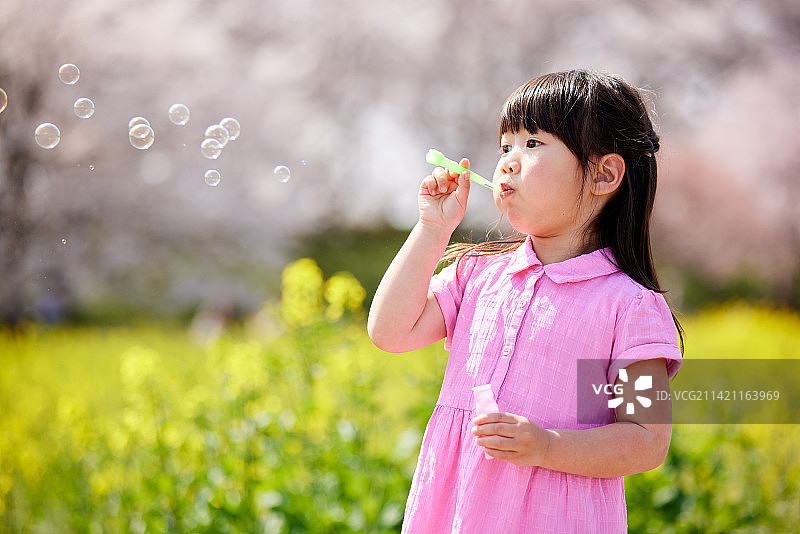 日本小孩肖像与盛开的樱花图片素材
