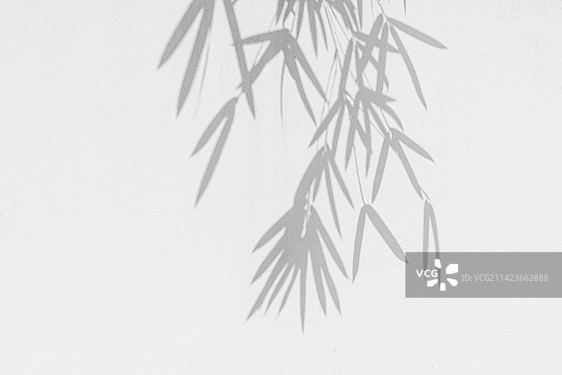 白色墙面上的竹子影子图片素材