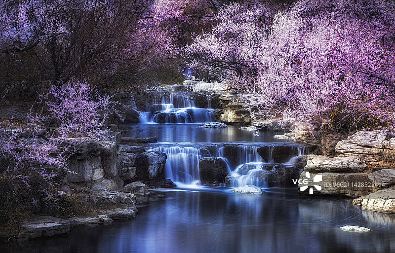 北京国家植物园桃花溪图片素材