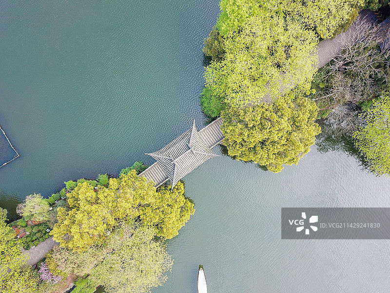 杭州西湖曲院风荷印象西湖 玉带桥图片素材