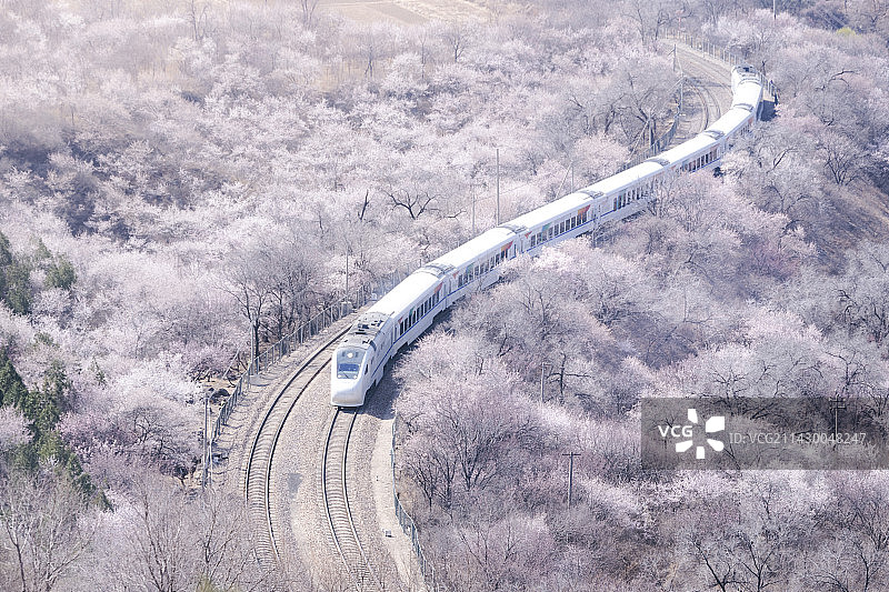 开往春天的火车图片素材
