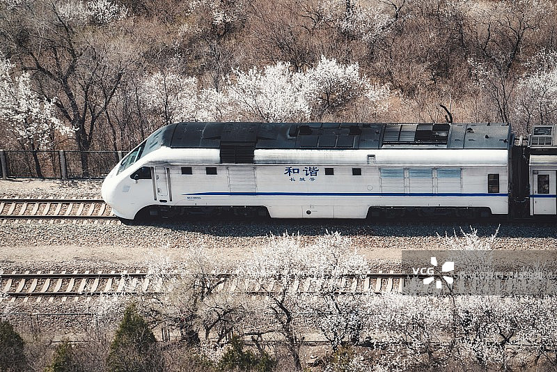 北京春季居庸关花海列车铁路运输图片素材