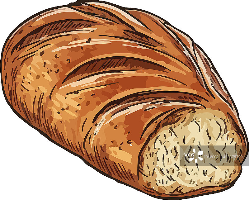 新鲜出炉的法棍面包是一顿美味的法国大餐图片素材