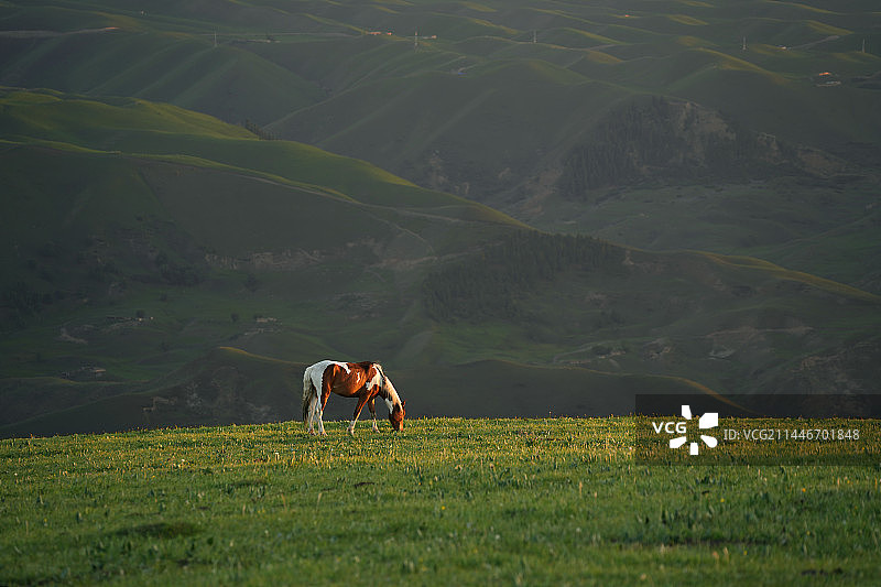 新疆喀拉峻大草原图片素材