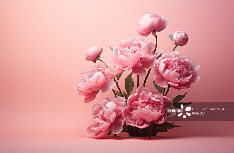【AI数字艺术】粉红色背景下的花朵特写镜头图片素材