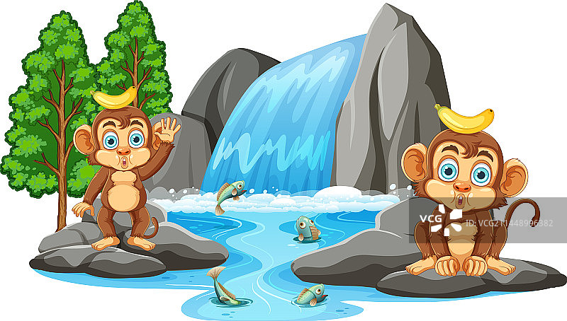 有趣的猴子在瀑布的场景图片素材