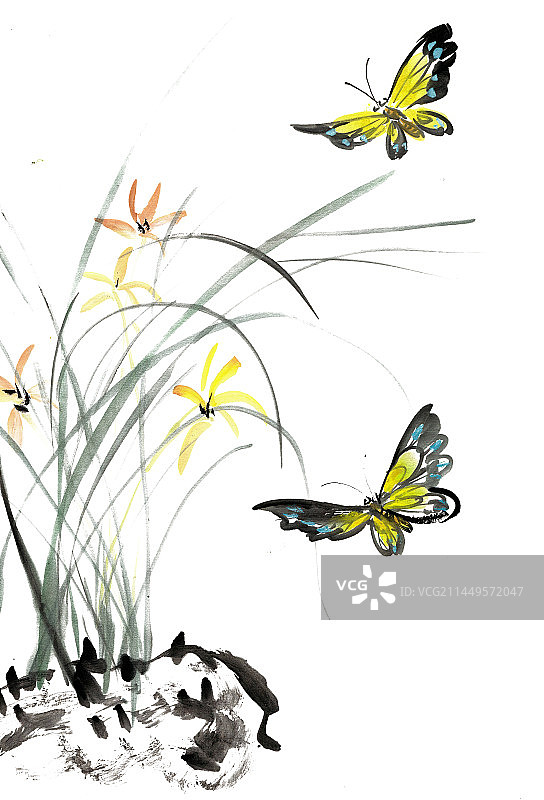 兰草与蝴蝶图片素材