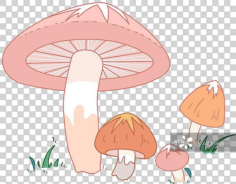 粉色蘑菇图片素材