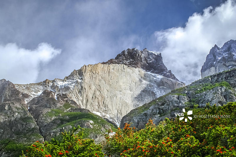 图为智利国家公园里的绿色植物和山脉图片素材