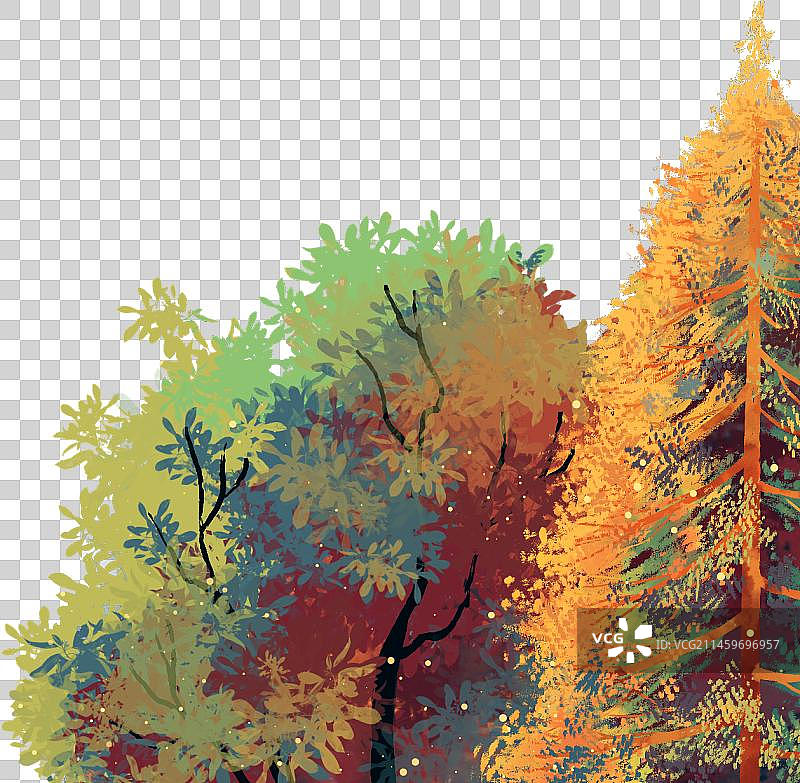 秋天红杉边框图片素材