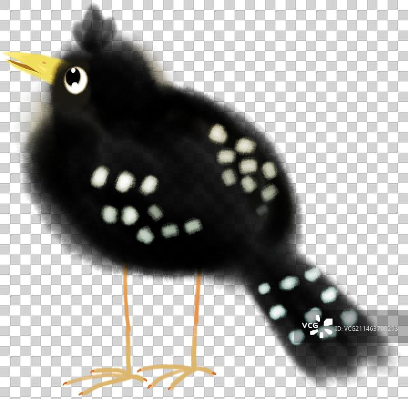 一只黑色的卡通鸟儿动物元素图片素材