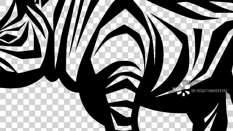 犀牛——黑白相间图片素材