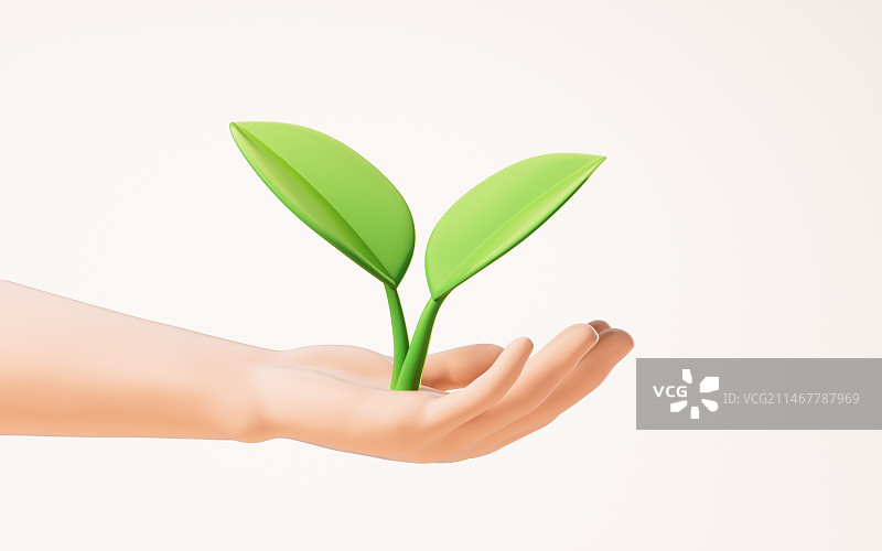 手部拿着的绿色植物3D渲染图片素材