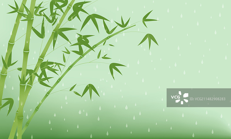 雨中的青青翠竹矢量插画图片素材