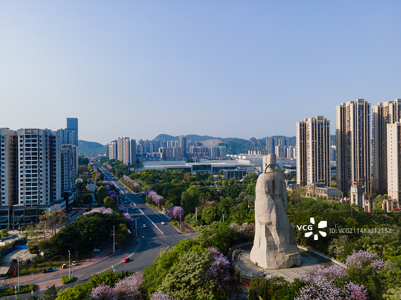 广西柳州市柳宗元雕像蓝天下的紫荆花图片素材