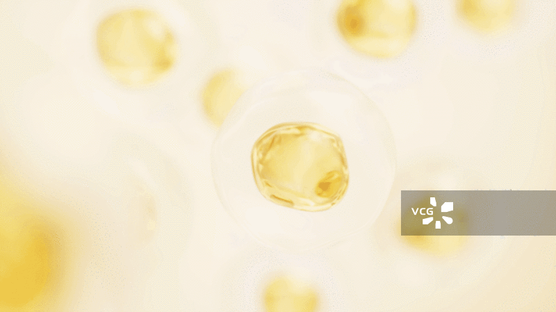 透明金色细胞生物科技背景3D渲染图片素材