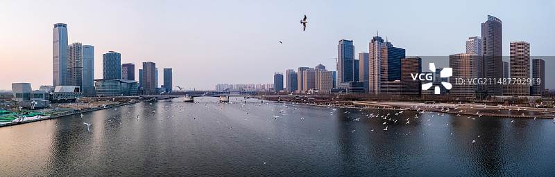 天津滨海新区海河响螺湾于家堡金融中心海鸥翱翔城市风光图片素材