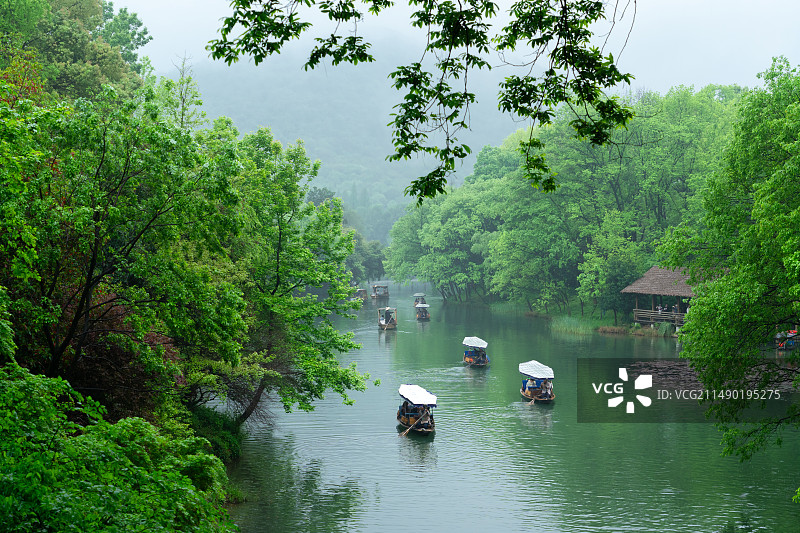 江南杭州西湖浴鹄湾春天春雨阴雨天摇橹船自然风景图片素材